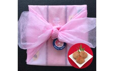 M272　紀州みなべ南高梅　雪どけ木箱入り