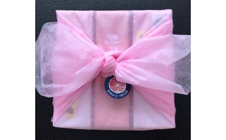 M272　紀州みなべ南高梅　雪どけ木箱入り