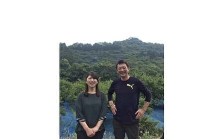 M272　紀州みなべ南高梅　雪どけ木箱入り