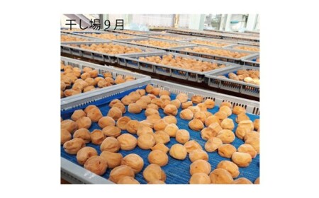 M275　紀州完熟南高梅　特別の日の梅干・二段重