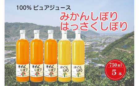 M283　１００％ピュアジュース　７５０ｍｌ　５本入り