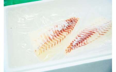 M292　紀州梅まだいのフィーレ（１尾分）