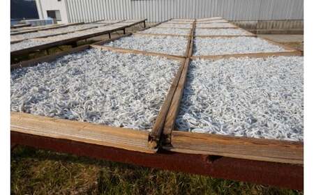 M295　特撰上干ちりめん　１ｋｇ