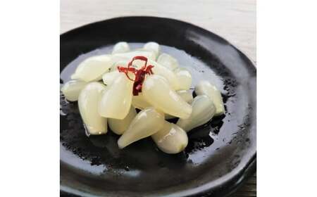 M331 ことこばあちゃんの田舎らっきょ1kg