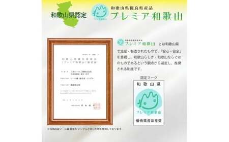 M345　シール織　綿毛布　シングル　アイボリー