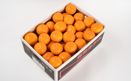 M356 超熟屋根掛けみかん 金特選5kg