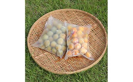 M358 農薬を使用していない南高梅(冷凍梅シロップ用)