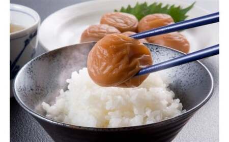 M362　紀州　うす塩味梅　紀和の梅　１ｋｇ×３