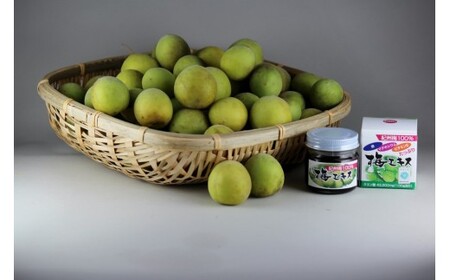 M372 紀州梅100%梅エキス6個セット