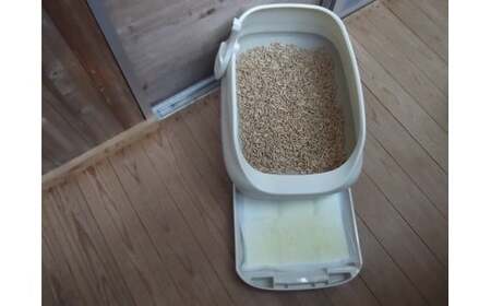 M407 森のねこトイレ2.5L×12袋