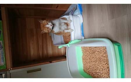 M407 森のねこトイレ2.5L×12袋