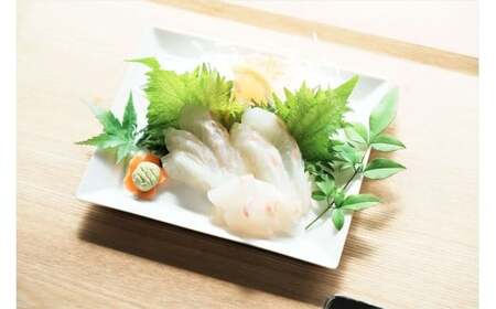 M431 紀州梅まだいのフィーレ(2尾分)