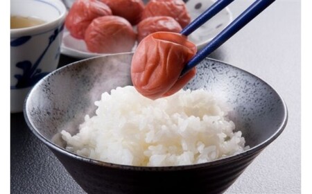 M442　紀州　しそ漬梅　紀和の梅　１ｋｇ×５