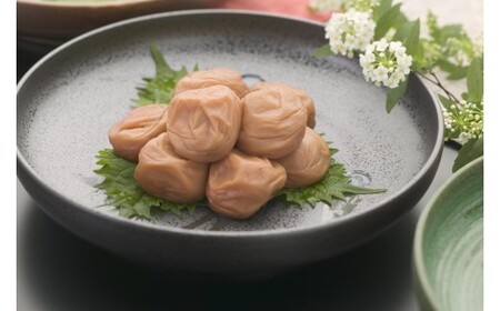 M443　紀州　はちみつ梅　紀和の梅　１ｋｇ×５