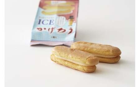 M118 福菱アイスかげろう