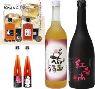 J394 梅酒定期便 全3回(3ヶ月) 和歌山県 GI