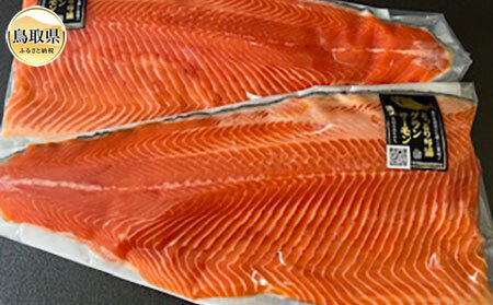 B24-462 琴浦 グランサーモンフィーレ(総目方1kg~1.2kg） 【数量限定