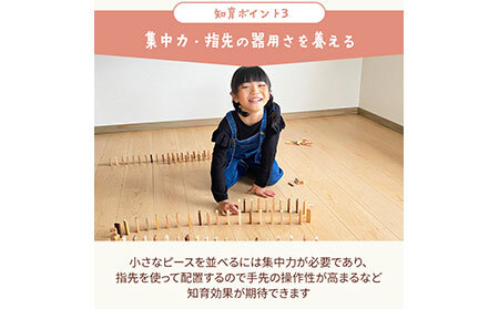 E25-001 森のドミノさん