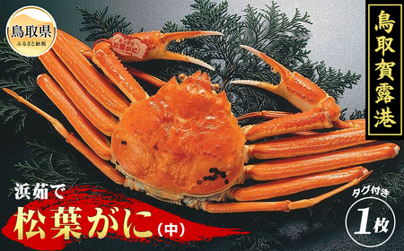 E25-009 鳥取賀露港 浜茹で松葉がに(中)【期間限定】