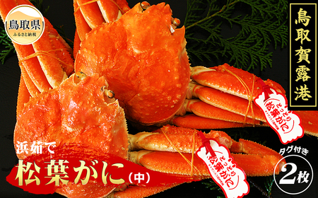 E25-010 鳥取賀露港 浜茹で松葉がに(中)【期間限定】