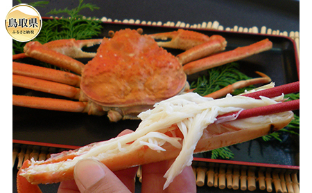 E25-010 鳥取賀露港 浜茹で松葉がに(中)【期間限定】