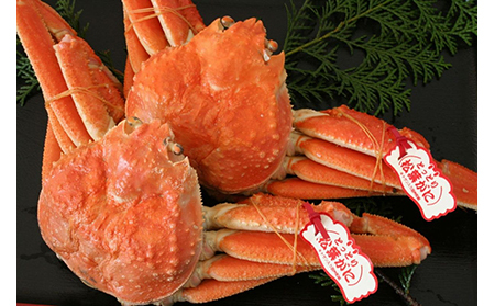 E25-010 鳥取賀露港 浜茹で松葉がに(中)【期間限定】