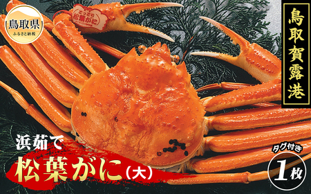 E25-011 鳥取賀露港　浜茹で松葉がに（大）【期間限定】
