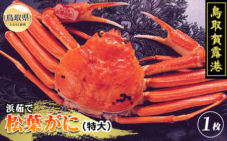 F25-007 鳥取賀露港　プレミアム浜茹で松葉がに【期間限定】