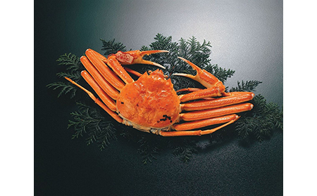 F25-007 鳥取賀露港　プレミアム浜茹で松葉がに【期間限定】