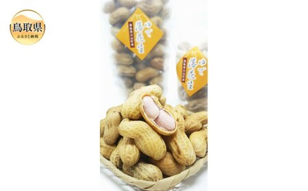 B25-039 大山町産 茹で落花生(オオマサリ860g)