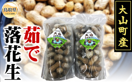 B25-040 大山町産 茹で落花生（オオマサリ　1kg）