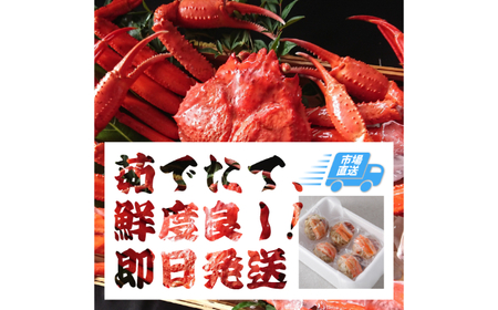 D25-019 鳥取産 特撰 紅ズワイガニ【釜茹で】3kg 6～7杯