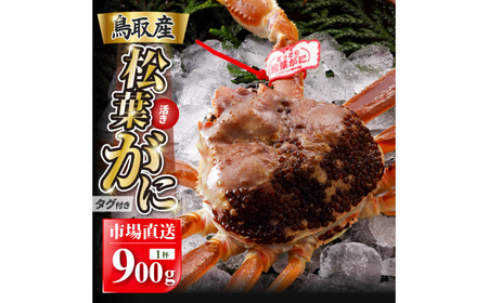 F25-020 【2025年12月発送】特撰 松葉がに（なま）【ブランドタグ付き】900g超の大きいサイズ 食べ応えあり 特大1杯