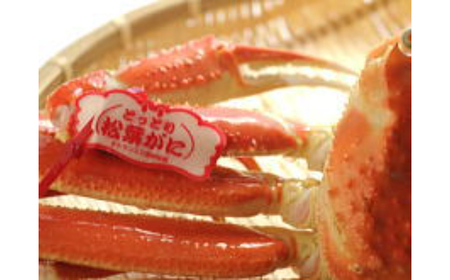 F25-023 【2025年12月発送】特撰 松葉がに（茹）【ブランドタグ付き】700g超の大きいサイズ 食べ応えあり 特大1杯