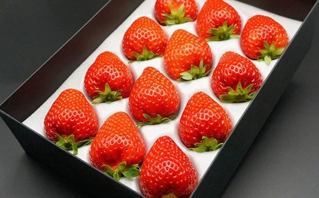 C25-047 最高級ベリーバード 『極』【期間･数量限定】