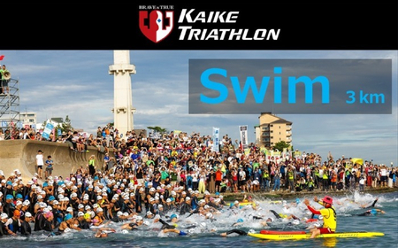 F25-031 [第44回全日本トライアスロン皆生大会]特別選考枠出場権(参加料含む） Aタイプ　2026年7月19日（日）開催