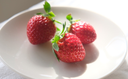 B25-087 【希少品種・鳥取県限定ブランド】とっておき苺(約500g)