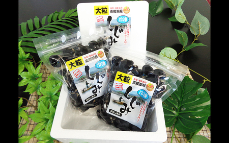 A24-044 東郷湖冷凍しじみ（大粒） 1kg