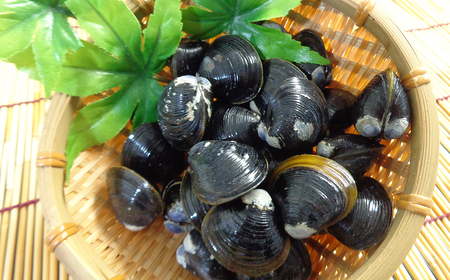 B24-043 東郷湖冷凍しじみ（大粒） 2kg