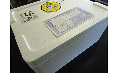 E24-008 東郷湖冷凍しじみ（大粒） 6.5kg
