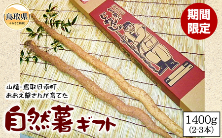 B24-092 自然薯ギフト【期間限定】