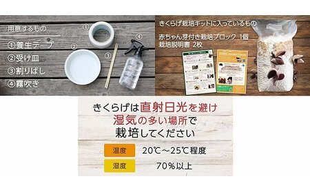 A24-165 おうちでかんたん!純国産きくらげ栽培キット【期間限定】