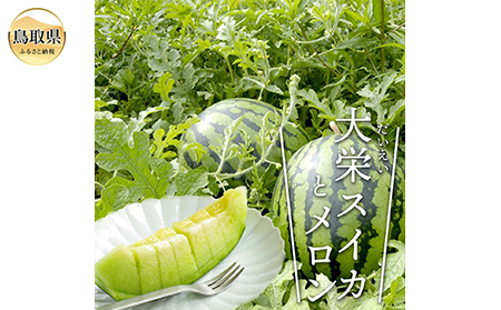 大栄スイカ（秀5kg以上）と旬のメロンセット（1kg以上）【期間･数量限定】_T2600183