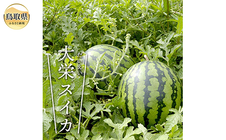 大栄すいか　秀　2玉（1玉2Ｌ以上）【期間･数量限定】_T2600185
