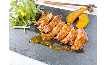 B24-022 鳥取のチキンステーキ6種セット