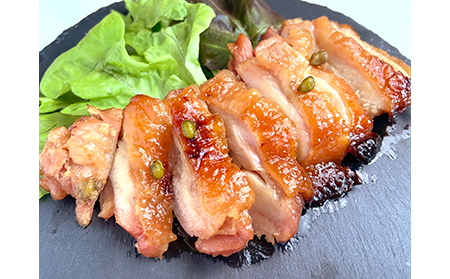 B24-022 鳥取のチキンステーキ6種セット