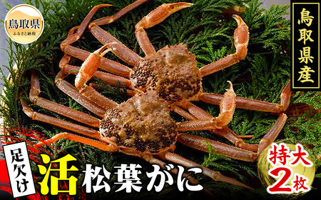 F24-065 鳥取県産　足欠け活松葉がに（特大2枚）【期間限定】