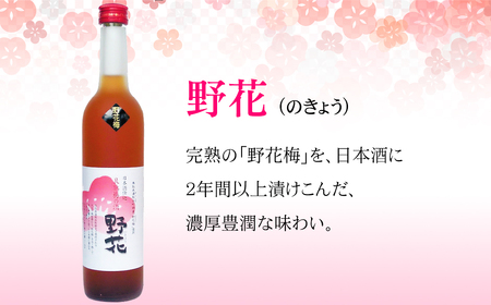 C24-016 鳥取県の美味しい酒　梅酒・ゆず酒　6本セット