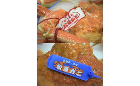 F24-015 【特撰】茹で　松葉かに　タグ付き　大サイズ　2尾入【期間･数量限定】