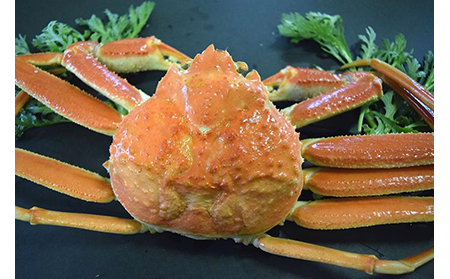 C24-047 茹で　松葉かに（足欠け）中サイズ　2尾入【期間･数量限定】